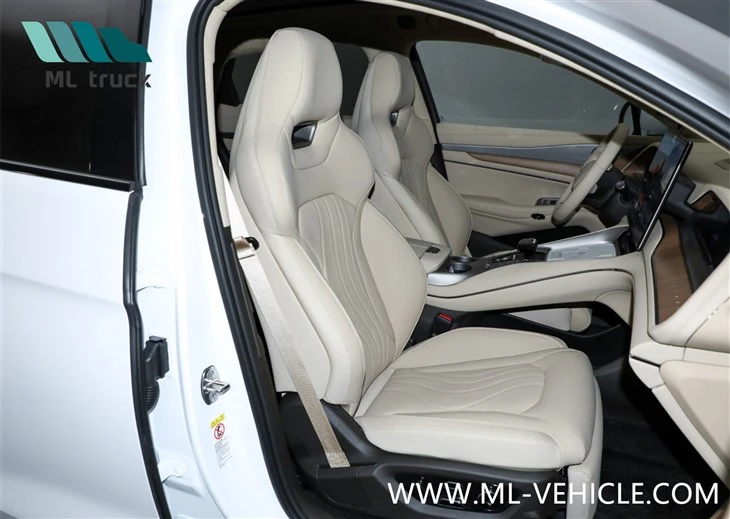BYD Denza N7