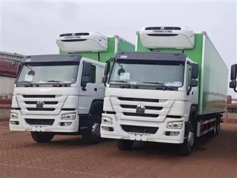 Nýr Sinotruk HOWO 6×4 kælibíll